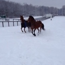 Legacy Equestrian Center - Horse Equipment & Services