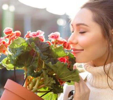 Ivywood Florist - Enterprise, AL