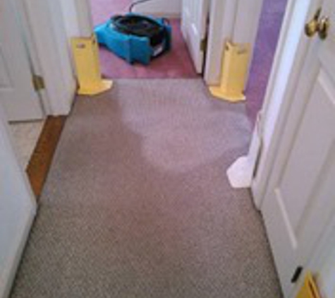 Johnson Carpet Care - Quakertown, PA