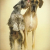 Applegate Animal Clinic gallery