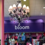 Bloom Dancewear