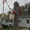 Climbin' Tough Tree Service gallery