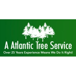 A Atlantic Tree Service - Virginia Beach, VA