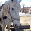 Echo Lake Stable - Stables