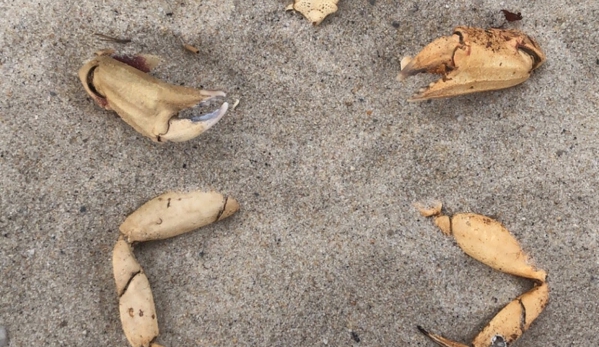 Monomoy National Wildlife Refuge - Chatham, MA