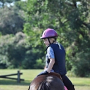 Hidden Branch Stables - Riding Academies