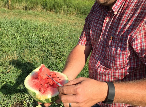 Dellinger Family Farms - Cherryville, NC