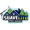 Suavecito Pro Wash gallery