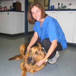 Bienville Animal Medical Center - Ocean Springs, MS