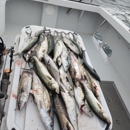 Captain Hogg's Charters - Fishing Charters & Parties