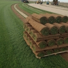 Horizon Turf Nursery Inc. gallery