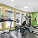 Montgomery Trace Apartment Homes - Apartments