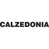 Calzedonia gallery