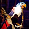 Walt Disney's Enchanted Tiki Room gallery