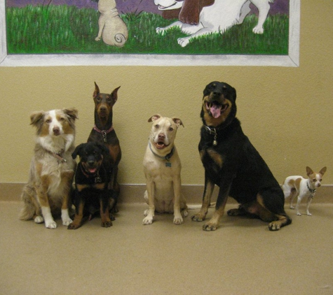 Faust Animal Hospital - Phoenix, AZ