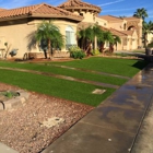 Exclusive Synthetic Grass