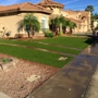 Exclusive Synthetic Grass