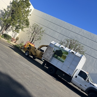 Ed's Tree Services - San Bernardino, CA