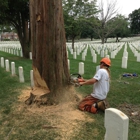 Alleys Tree Service