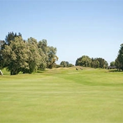 Gallery Image Number 5