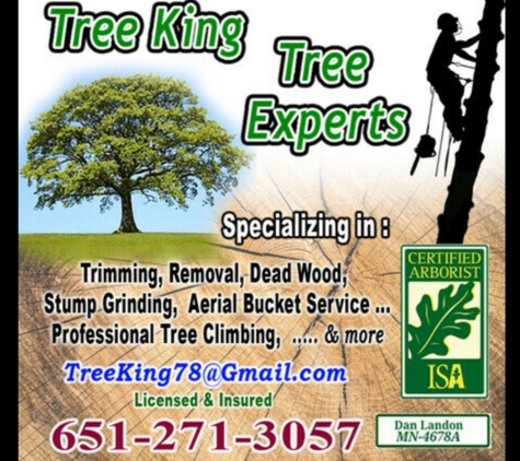 Tree King Tree Experts - Saint Paul, MN