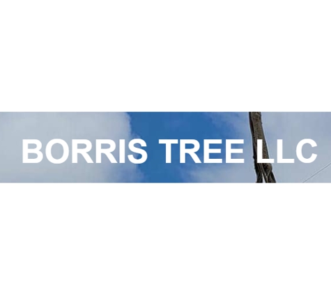 Borris Tree - Wickliffe, OH