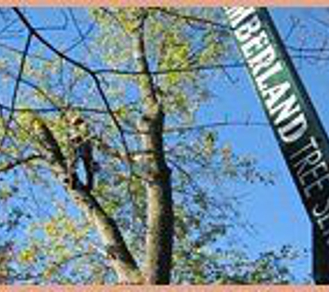 Timberland Tree Service, LLC