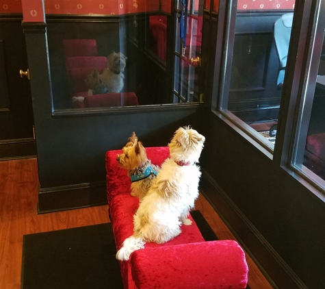 Executive Dog Lounge - Jersey City, NJ