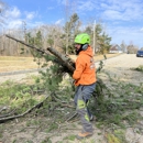 Walnut Tree Services - Crane Service