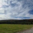 Snickers Gap Christmas Tree Farm - Christmas Trees