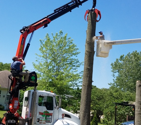 Td's Tree Service & STUMP Removal - Knox, IN