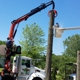 Td's Tree Service & STUMP Removal