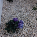 Martinez Landscaping and Pinestraw Service - Landscape Contractors