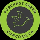 Purchase Green Artificial Grass- Concord - Artificial Grass