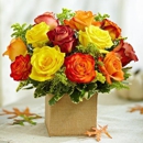 Petals To Parties - Florists