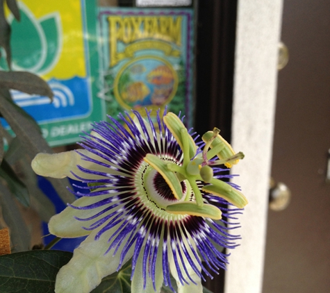 Urban Grow Systems - Santa Barbara, CA