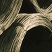 Gallery Image Number 5
