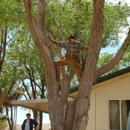 Wallace Tree Service - Handyman Services
