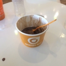 Orange Leaf - Yogurt