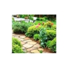 Cochran Landscape Management gallery