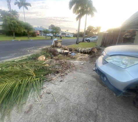 Bull's Tree Service - Whitfield, QLD