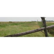 Gallery Image Number 2