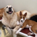 Happy Dogs - Kennels