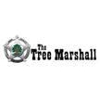The Tree Marshall gallery