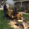 Gardner Stump Removal gallery