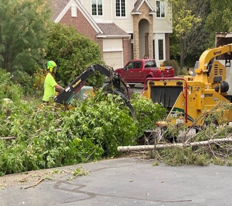 A + A Tree & Landscaping