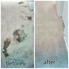 Economy Carpet Cleaning