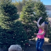 The Christmas Tree Lot at Moon Valley Nurseries - Katy gallery