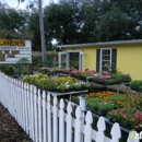 Wildflowers at Palmer's - Florists