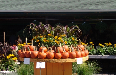 Laurel Oak Garden Center 199 Tomlinson Mill Rd Marlton Nj 08053